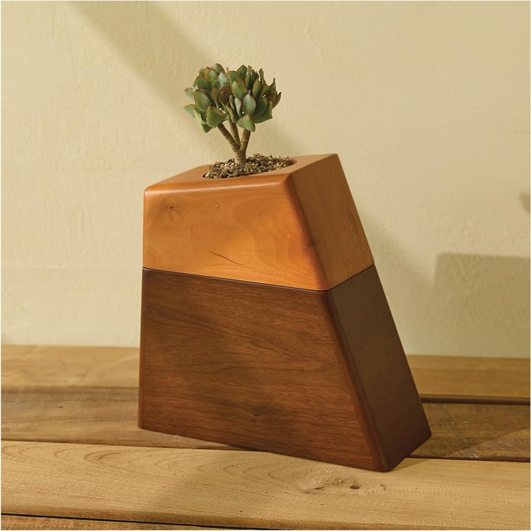 AspenStudio Plant Urn for Adult Human Ashes Cremation Wooden Urn by Aspen Studio