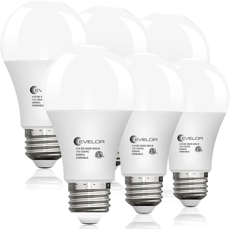 evelor 6 Pack LED Light Bulbs,60 Watt Equivalent Daylight 5000K,A19