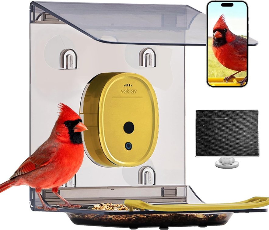 Smart Bird Feeder with Camera Solar Powered,2K UHD Video Live Stream,Easy Set Up,AI Bird Species Identification, Auto Capture Videos&5MP Photos,Instant Alerts,Gifts for Bird Lovers