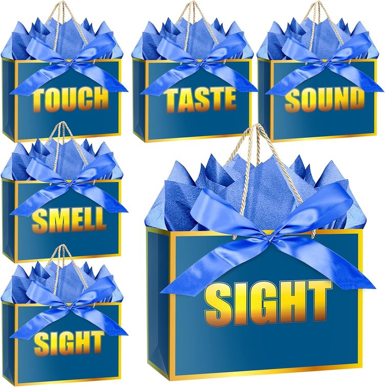 Jaywayang 5 Senses Gift Bags with Tissue Papers and Ribbons for Her Him Birthday Wedding Anniversary Mother's Day Valentine's Day Present Wrapping (Blue Gold)