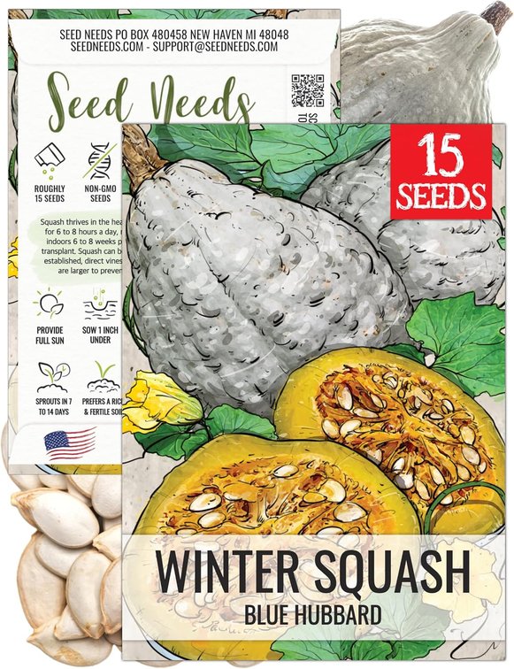 Seed Needs Blue Hubbard Winter Squash Seeds to Plant Vegetables - 1 Pack