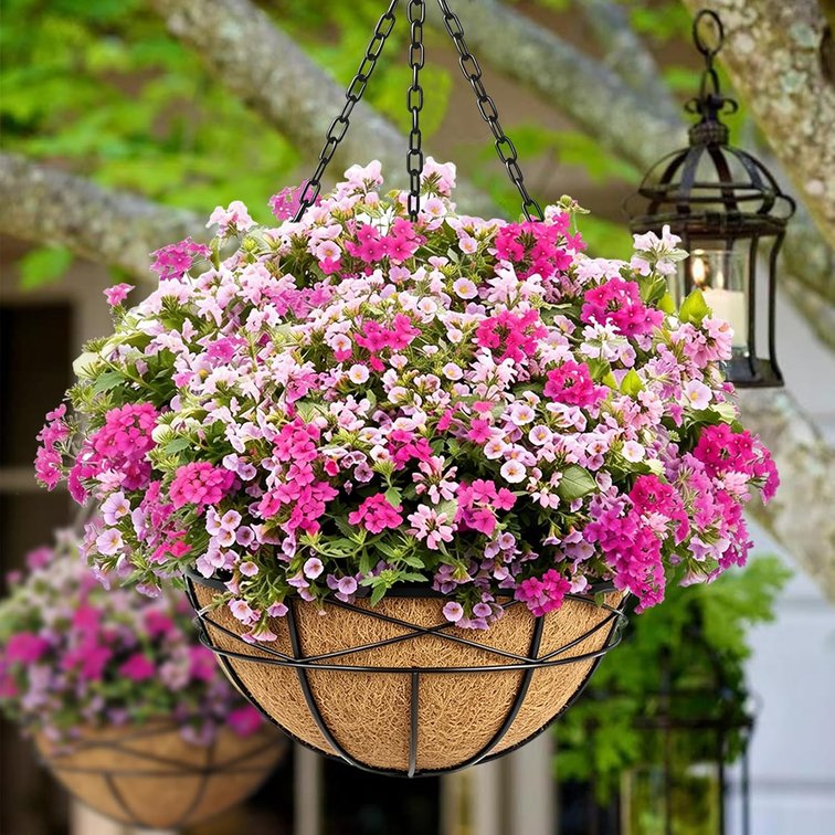 20 Inch Natural Coconut Husk Fiber Liners for planters Round Coco Replacement Liners for Hanging Flower Basket Planter Large Coco Coir Pots for Outdoor Garden Planting   2 Pack 20 Inch Round Round-2 Pack