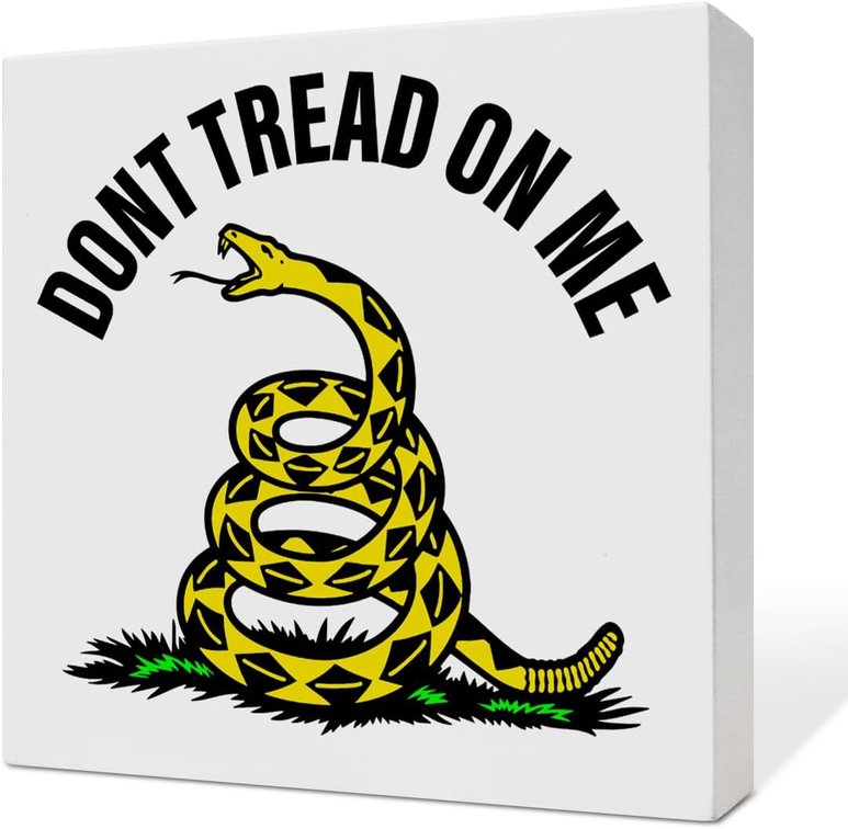 America Libertarian Freedom Faith Human Rights Patriotic Decor Sign for Home Room Office, Political Activist Libertarian Resistance Gifts for Women Men, Dont Tread On Me