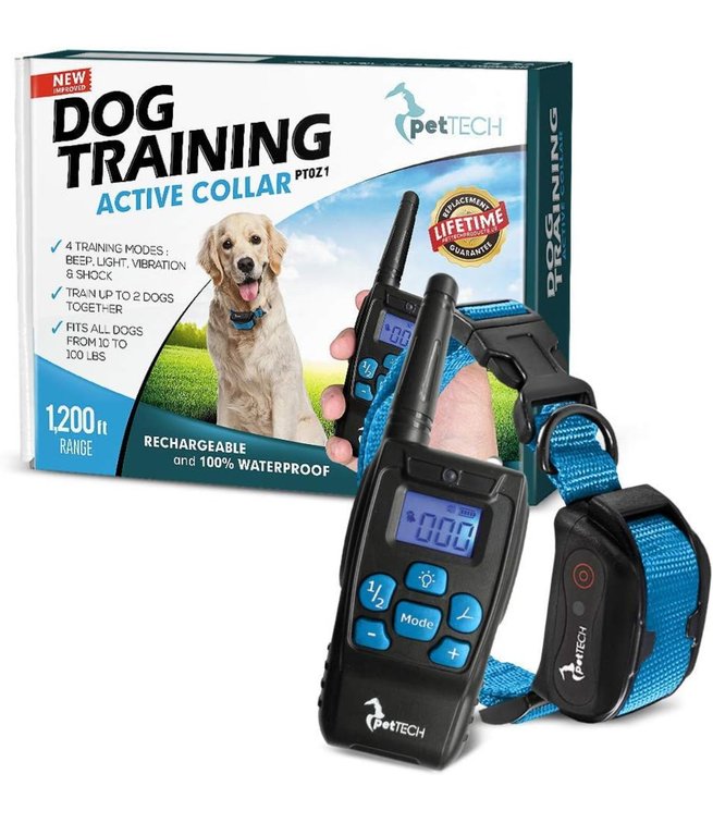 Dog Training Active Collar blue