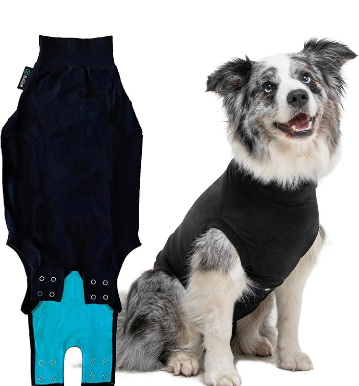 Size XS - Recovery Dog Suit
