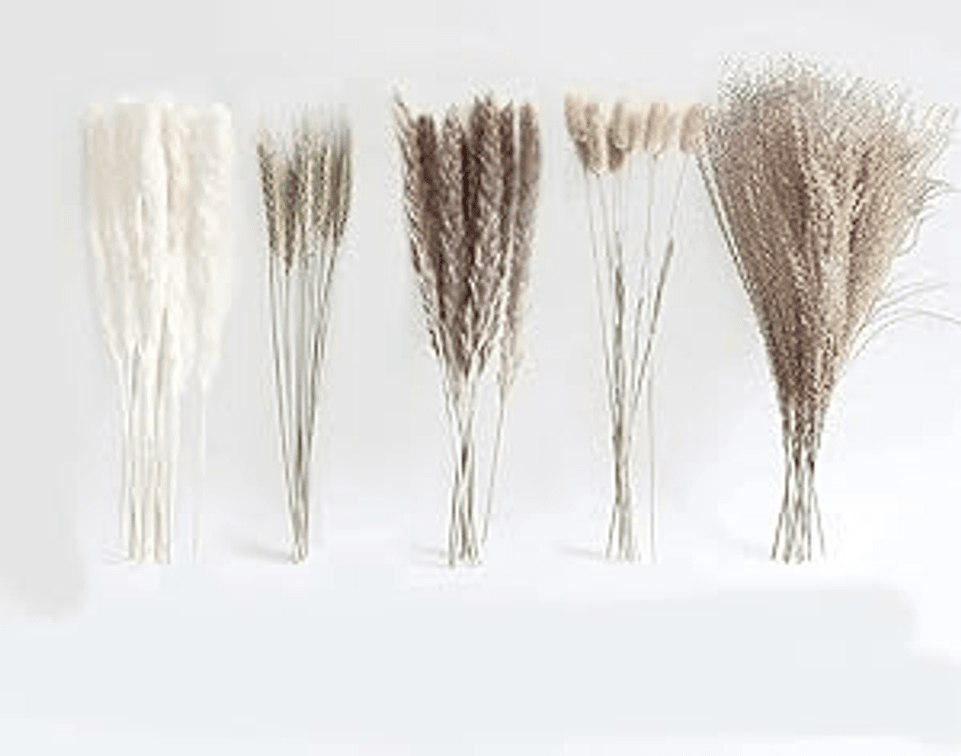 Set of 2 Dried Pampas Grass Bouquet