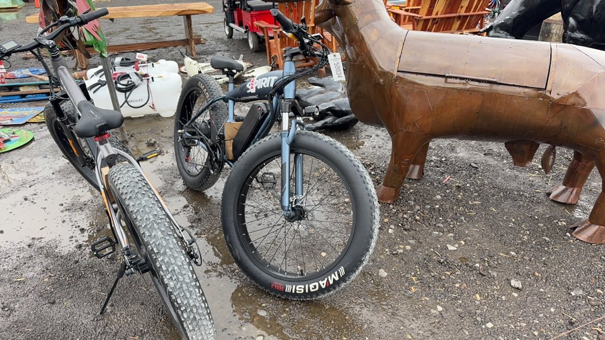 SPIRIT ELECTRIC BICYCLE