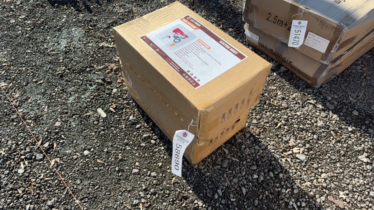 QTY (2) ATS PA 4000 ELECTRIC HOIST