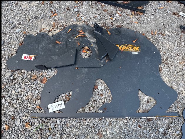 Image for BEAR SHOOTING TARGET