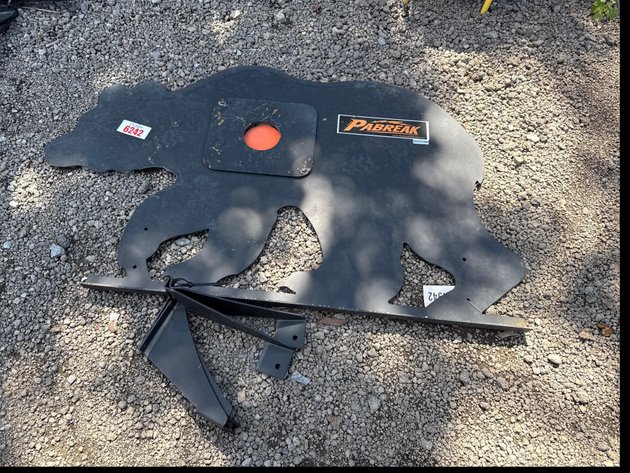 Image for BEAR SHOOTING TARGET