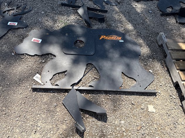 Image for BEAR SHOOTING TARGET