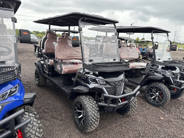 Image for 2026 ELECTRIC GOLF CART