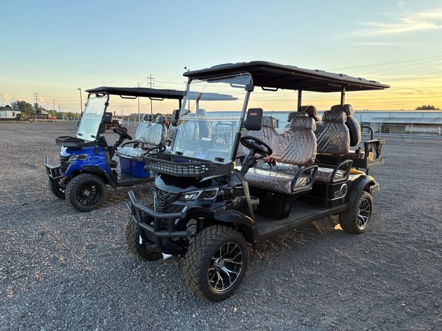 Image for 2026 ELECTRIC GOLF CART