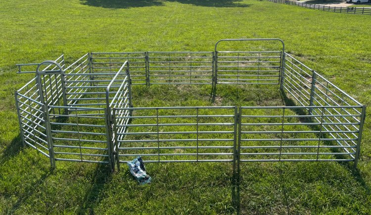 Image for NEW GALVANIZED HD CATTLE HANDLING WORKING SYSTEM