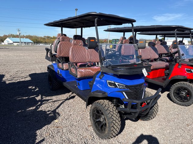 Image for 2026 ELECTRIC GOLF CART