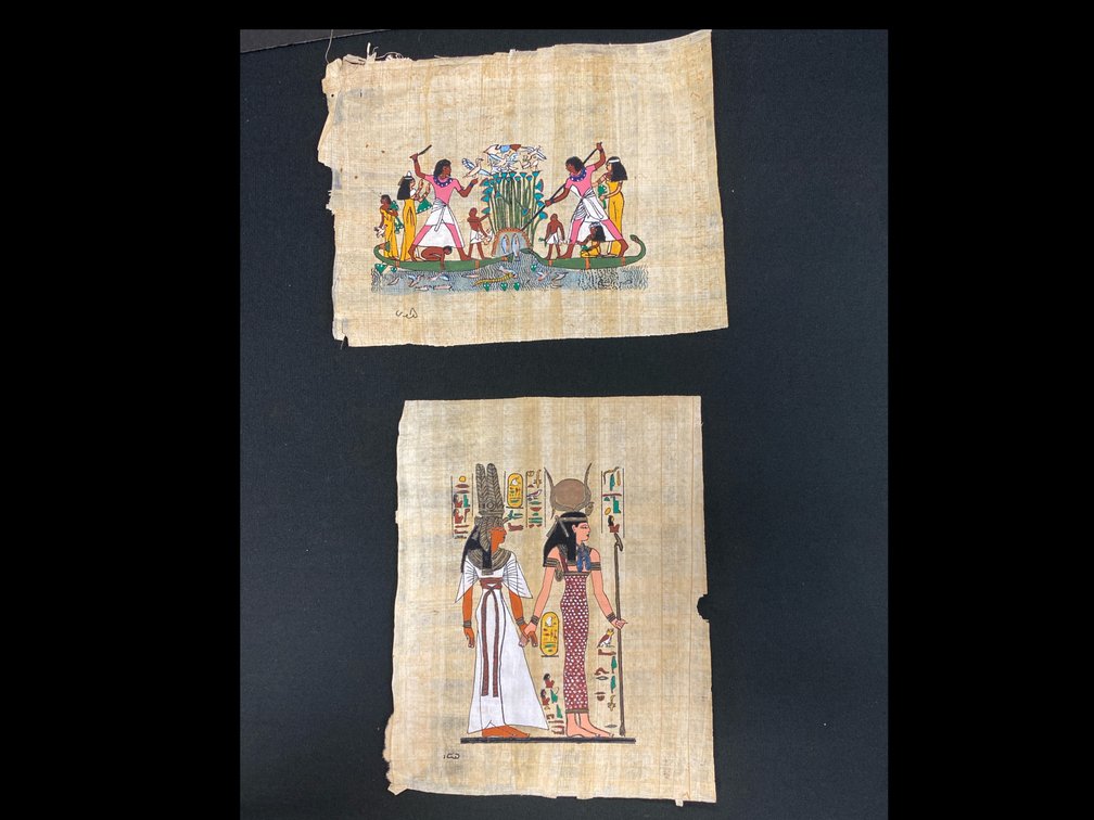 Papyrus paintings & Art book