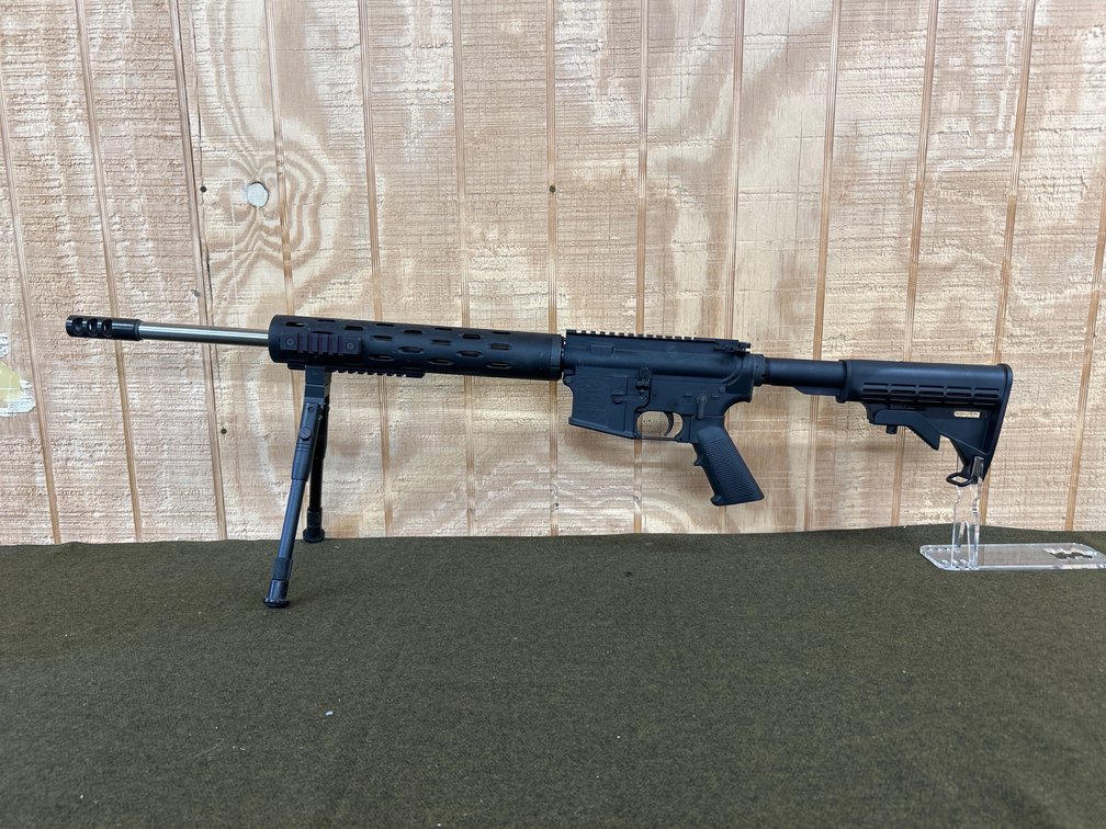 *25x45 Sharps* Chambered AR rifle