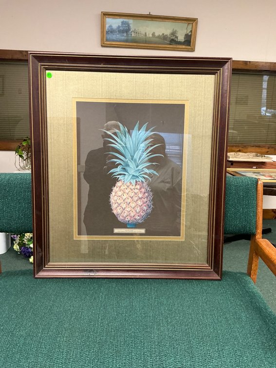 Framed Pineapple Botanical Artwork with Historical Style 32×27