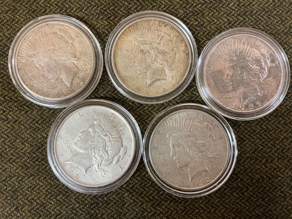 Set of 5 Peace Silver Dollars in Protective Cases