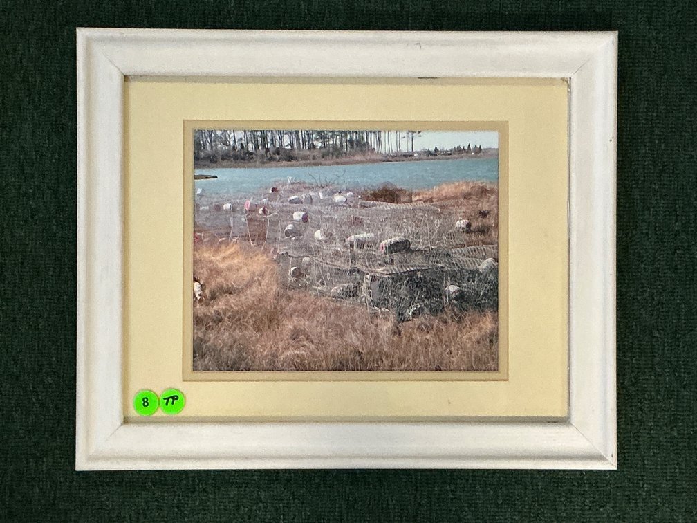 16×13 Original Photograph by Photographer Ted Parr