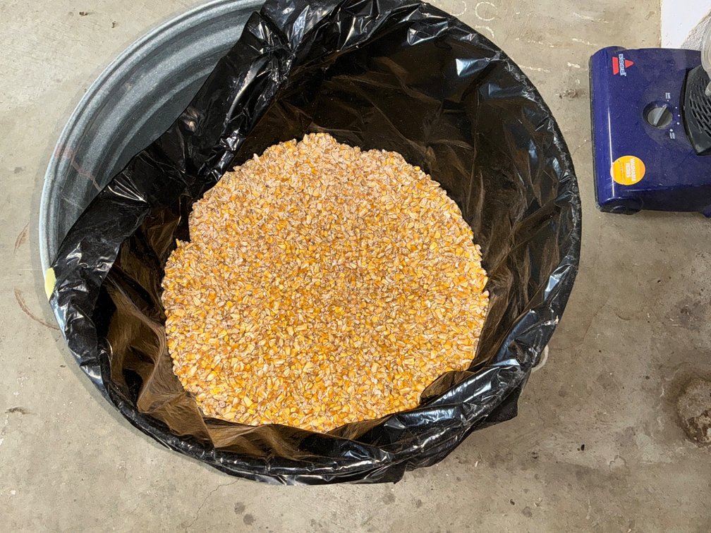 20-Gallon Galvanized Can Half-Filled With Corn