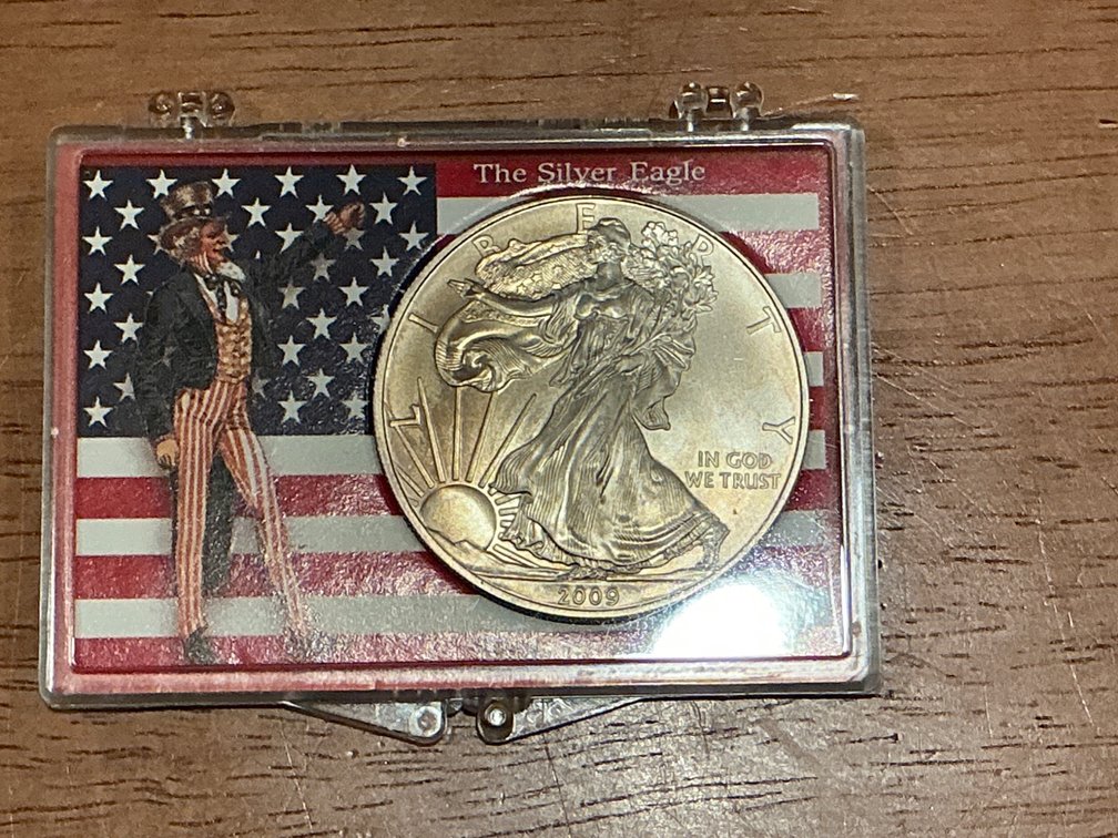 2009 American Silver Eagle Coin in Patriotic Display Case
