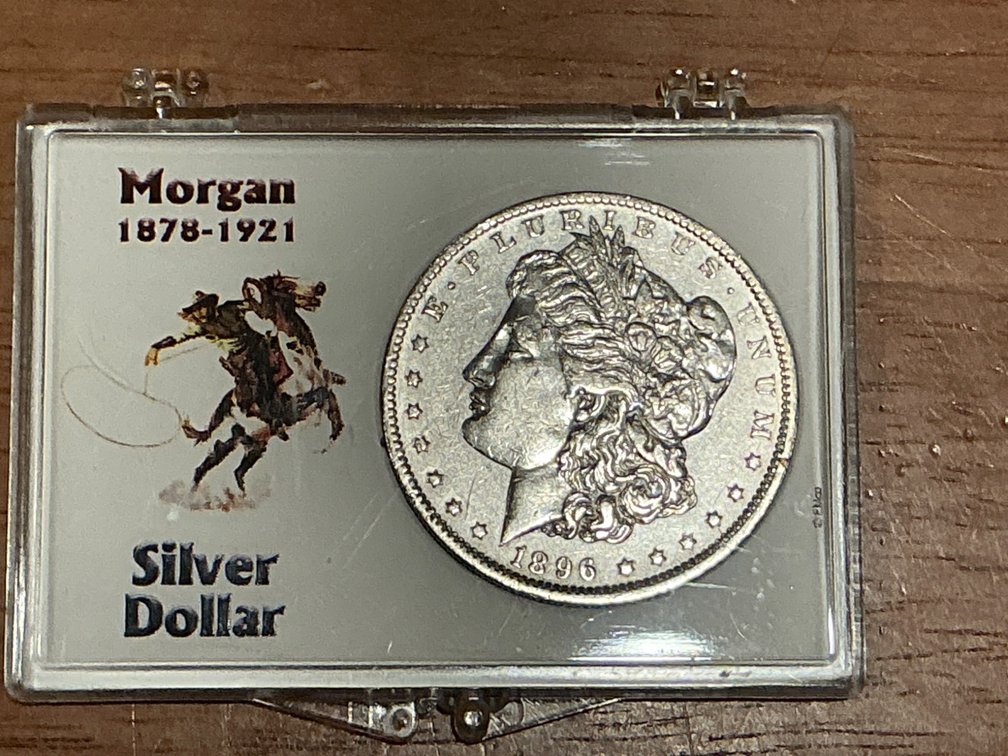 1896 O Morgan Silver Dollar with Preservation Case