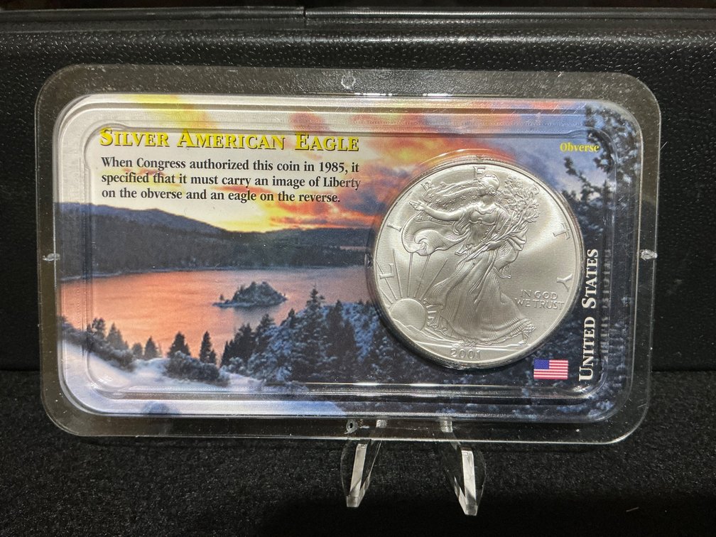 2001 Silver American Eagle Coin 