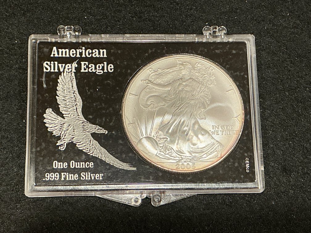 2005 American Silver Eagle One Ounce .999 Fine Silver Coin