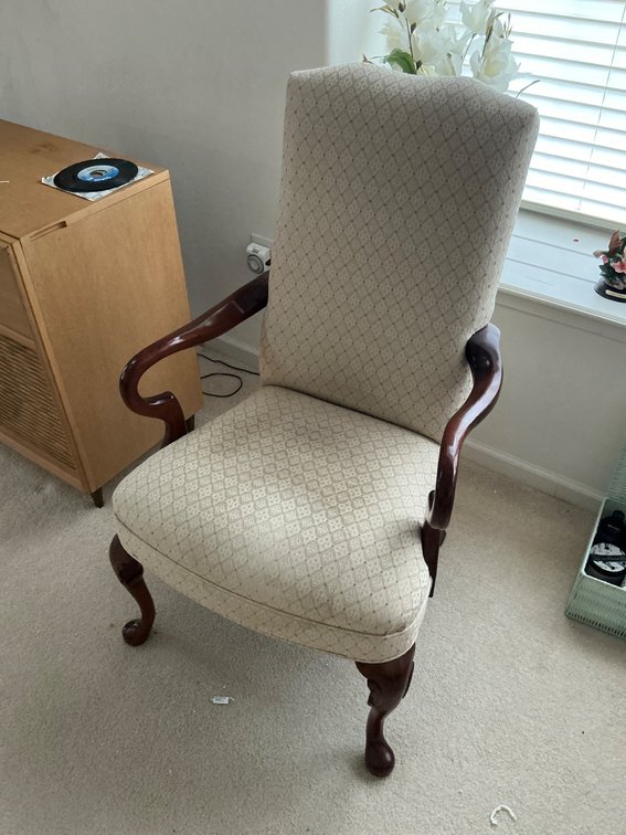 Upholstered Living Room Chair with Wooden Frame and Curved Legs