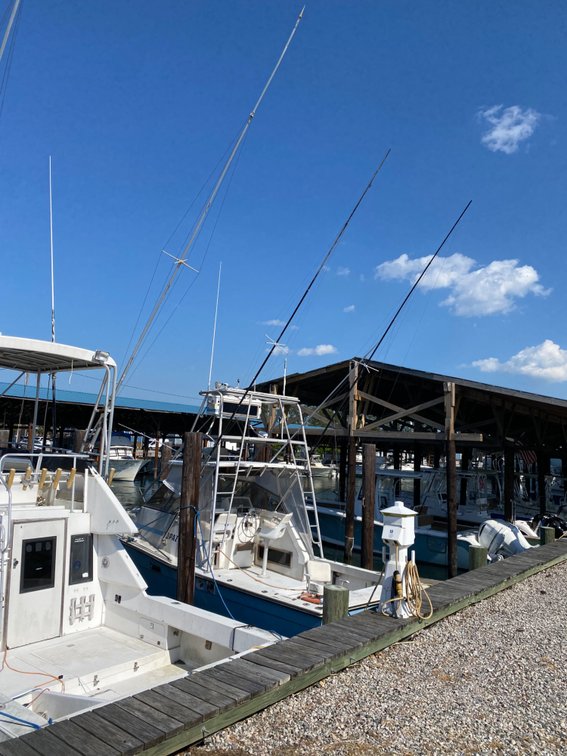 Image for White House Cove Marina Lien Auction