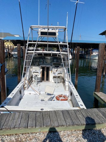 White House Cove Marina Lien Auction