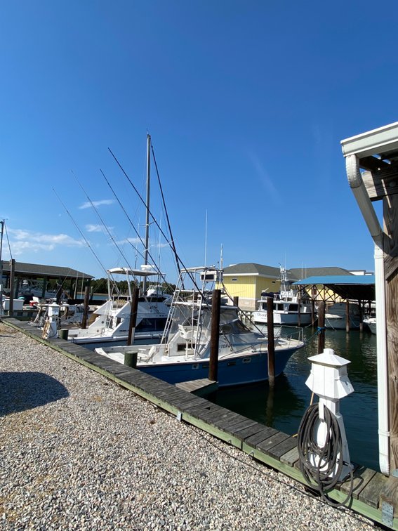 Image for White House Cove Marina Lien Auction
