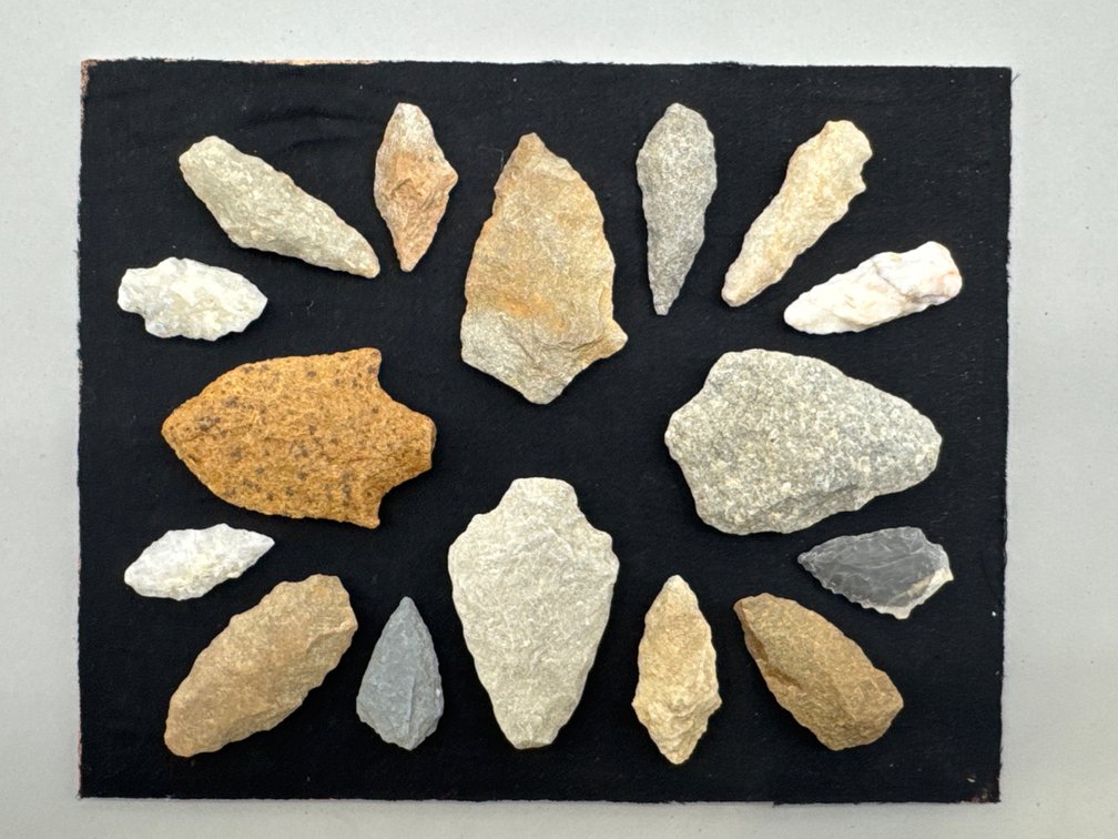 Knapped Stone Projectile Points in Display Case