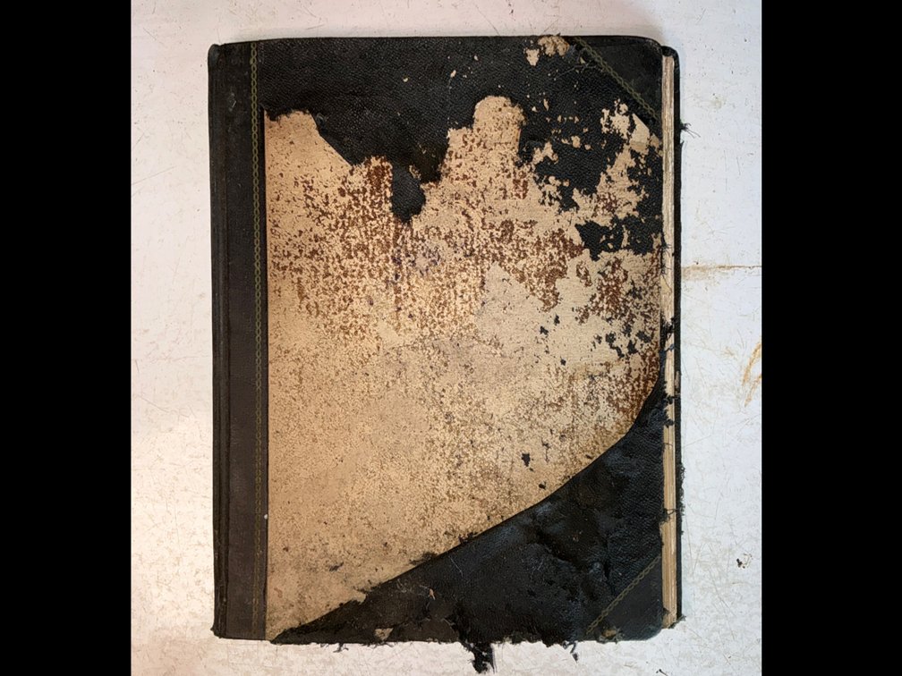 Lord Mott Ledger Book