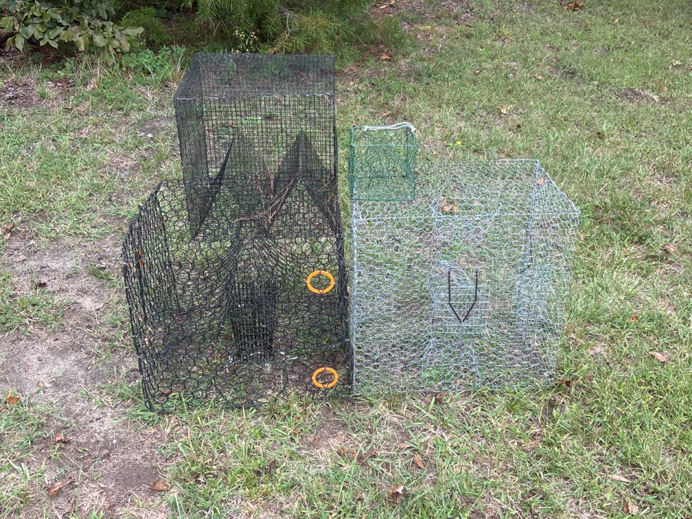 Wire Crab and Fish Traps