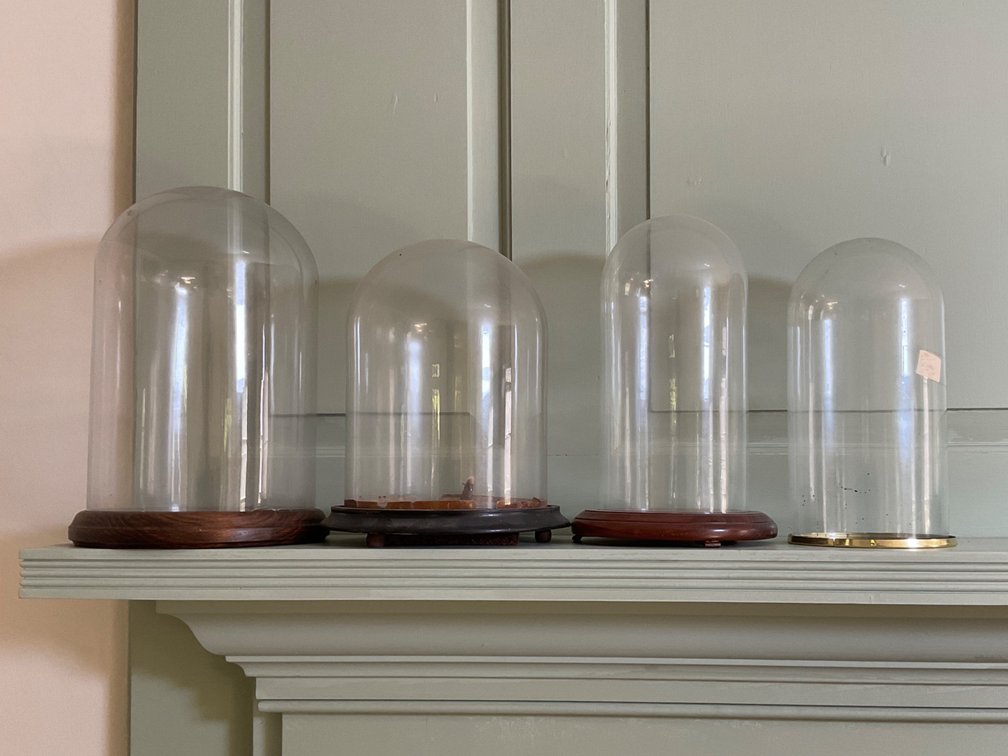 Four Glass Display Domes