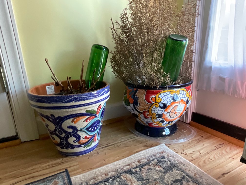 Flower Pots