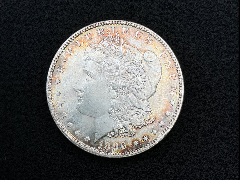 1896 Morgan Silver Dollar