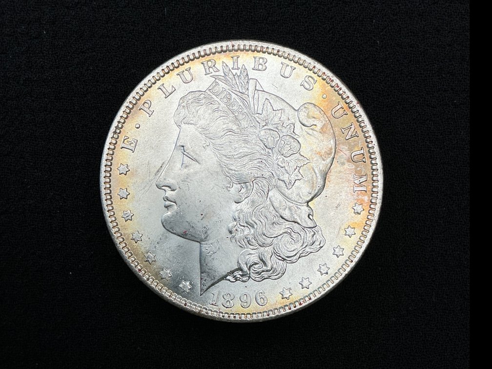 1896 Morgan Silver Dollar