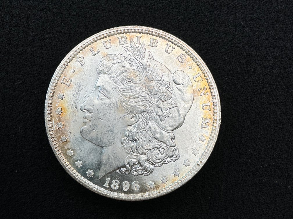 1896 Morgan Silver Dollar