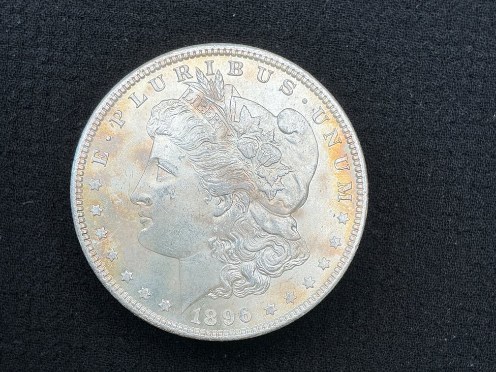 1896 Morgan Silver Dollar