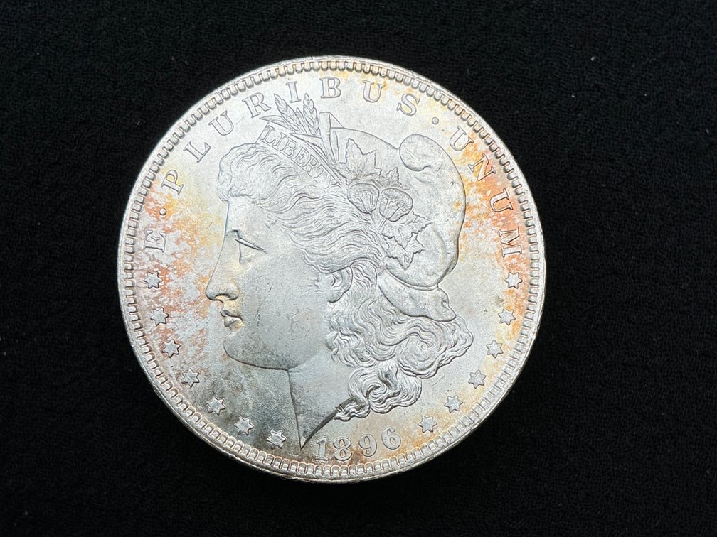 1896 Morgan Silver Dollar