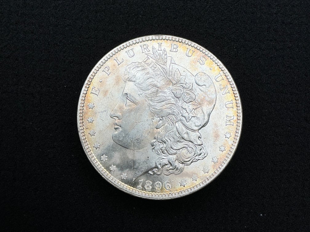 1896 Morgan Silver Dollar