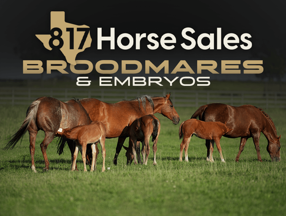 Broodmares/Embryos