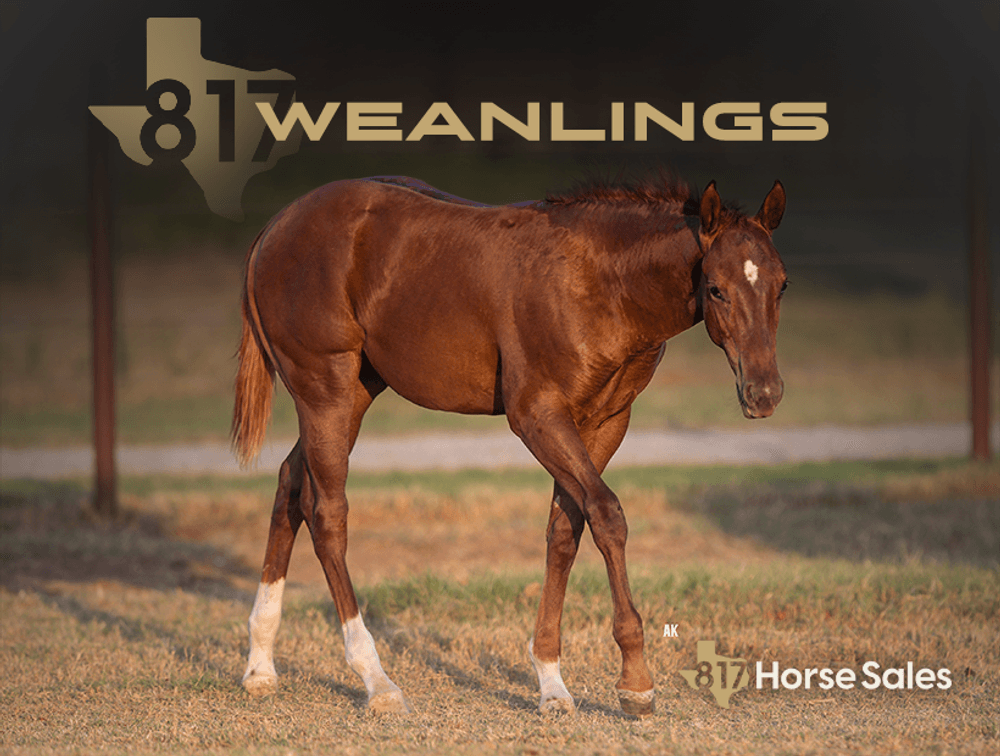 Weanlings