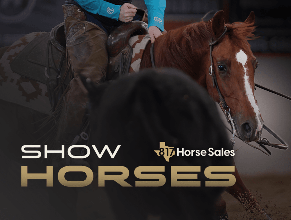 Show Horses