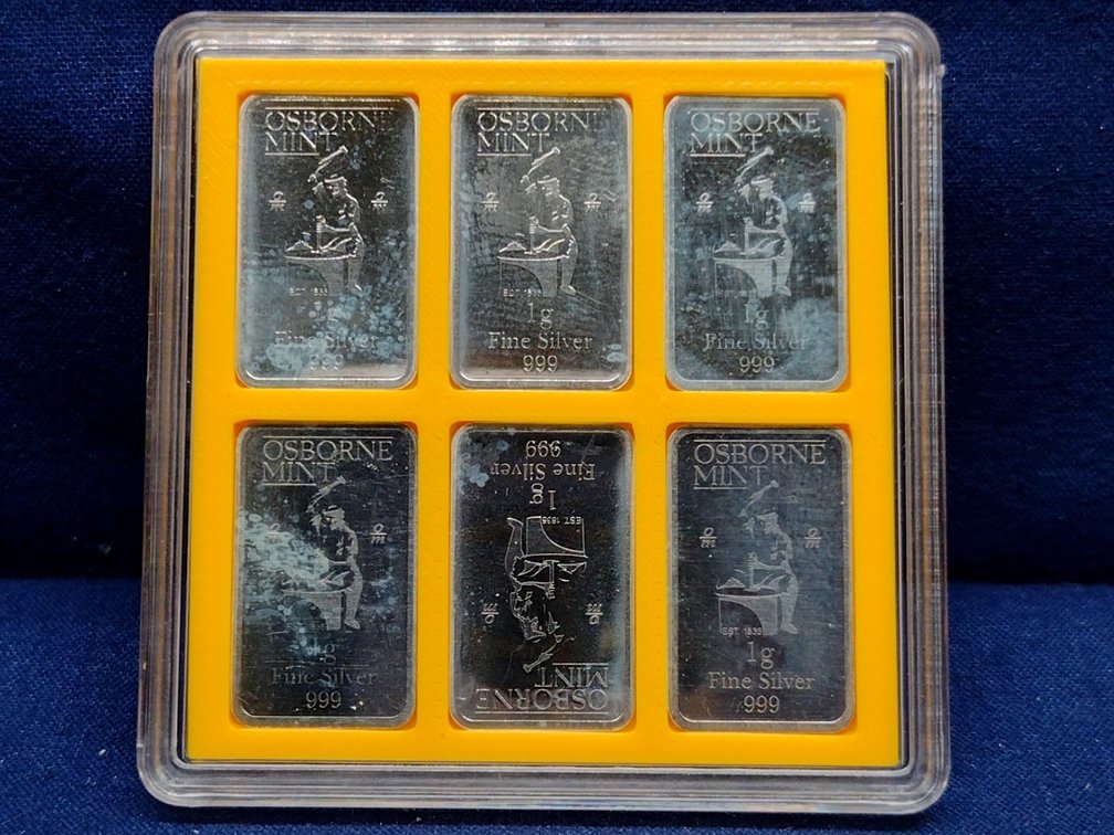(6) 1 Gram .999 Silver Bars in Case