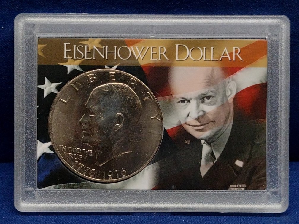Eisenhower Dollar Panel