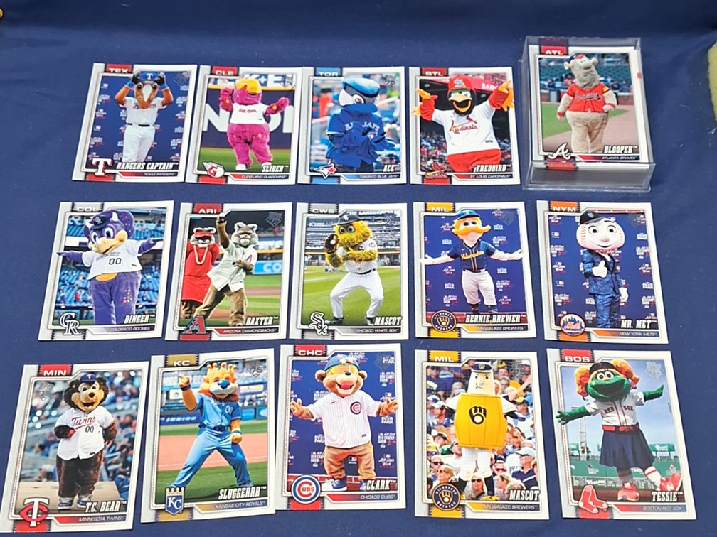 50 mascot cards (great for kids!)